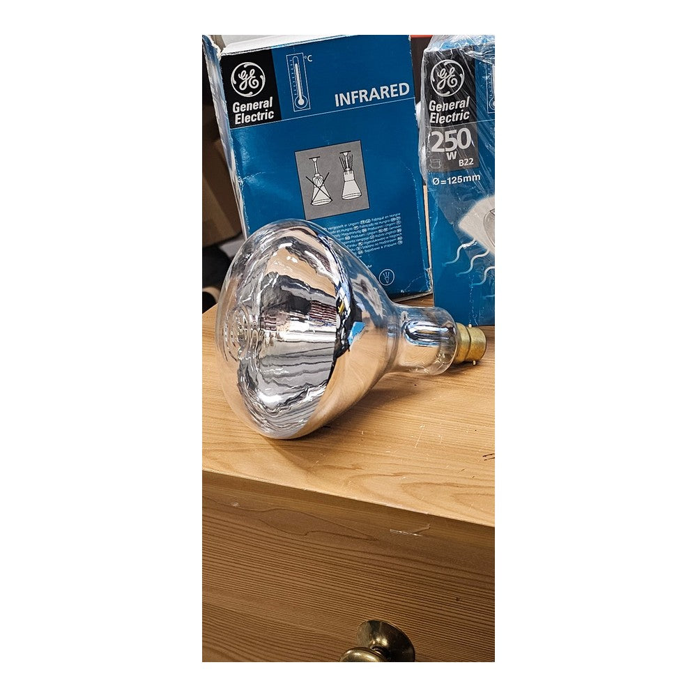B22 250W x 2 Infrared Heat Light Bulb Carvery Food Catering General Electric