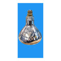 B22 250W x 2 Infrared Heat Light Bulb Carvery Food Catering General Electric