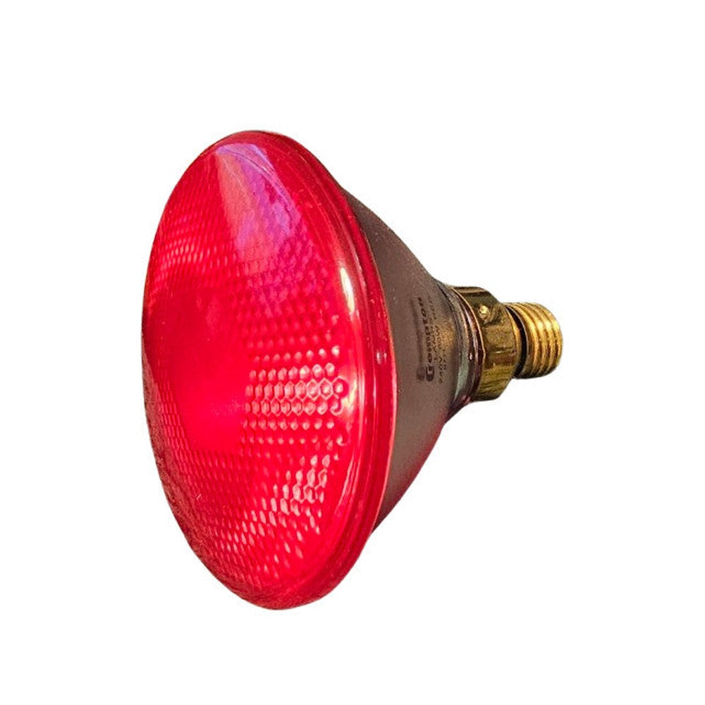 ES-E27 80w RED Mains Voltage PAR38 Crompton Front Glass RED