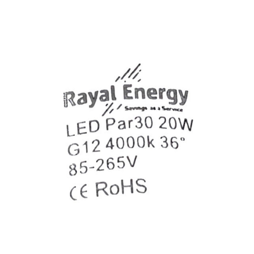 G12 20W ( Pack of 2 ) LED PAR30 Bulb Lamp  36° 85-265v 4000k RoHS Track Lighting